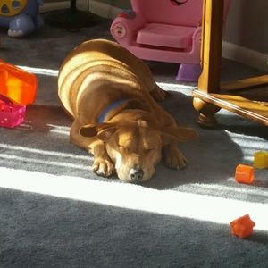 Meet your Posher, Meaghan